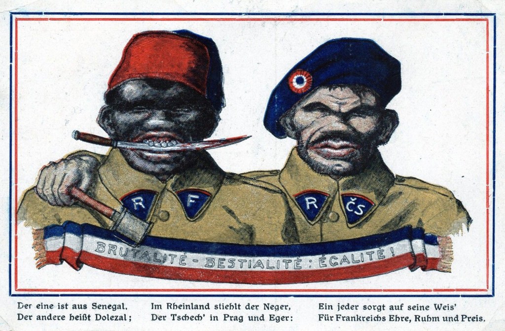The true history of the Black disgrace on the Rhineland and in Europe&nbsp;generally